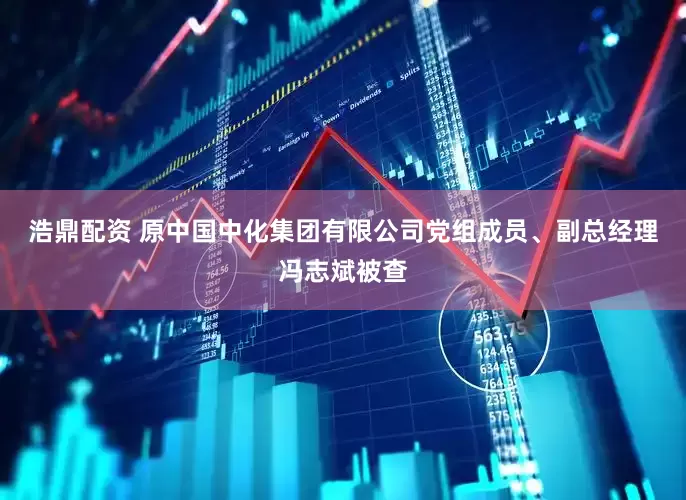 浩鼎配资 原中国中化集团有限公司党组成员、副总经理冯志斌被查